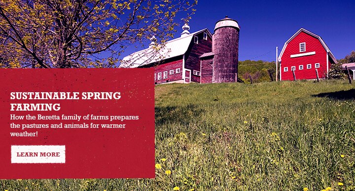 SUSTAINABLE SPRING FARMING - How the Beretta family farms prepares the pastures and animals for warmer weather
